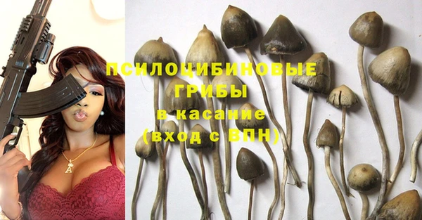 мяу мяу мука Верхний Тагил
