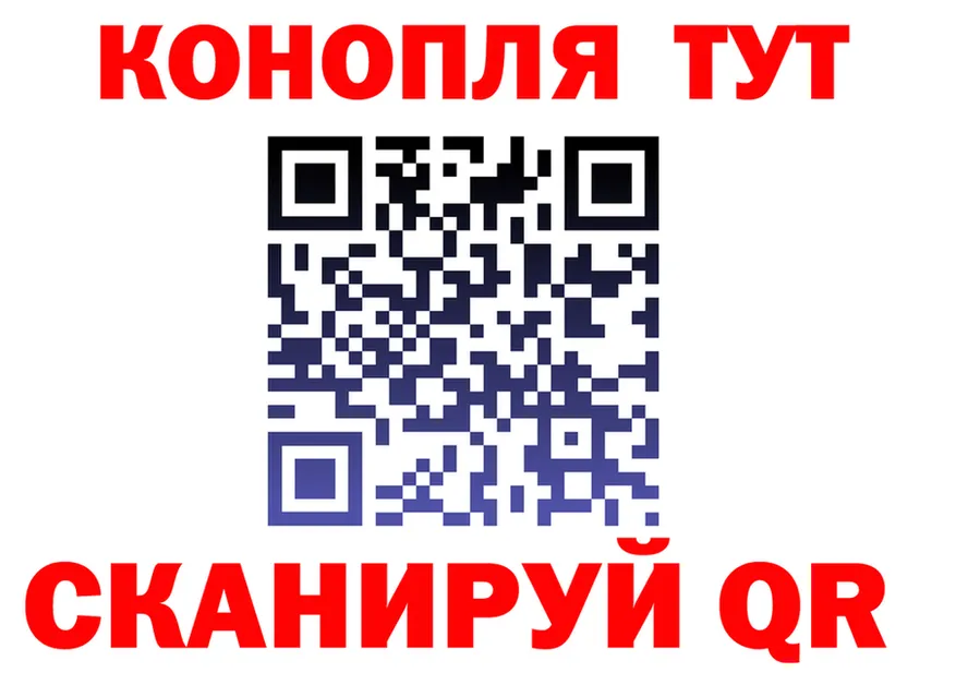 МЕФ 4 MMC ТОР площадка кракен Волгореченск